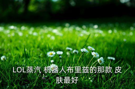 LOL蒸汽 機(jī)器人布里茲的那款 皮膚最好