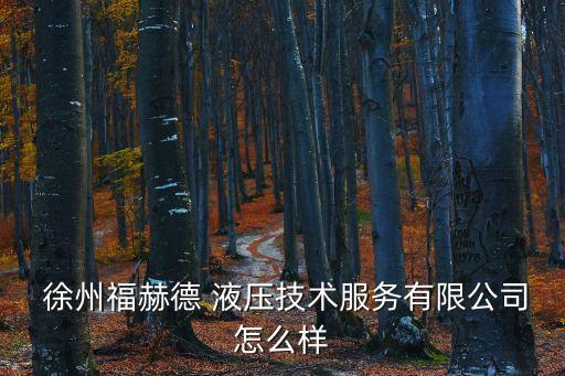  徐州福赫德 液壓技術(shù)服務(wù)有限公司怎么樣