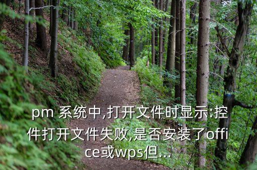  pm 系統(tǒng)中,打開文件時顯示:控件打開文件失敗,是否安裝了office或wps但...