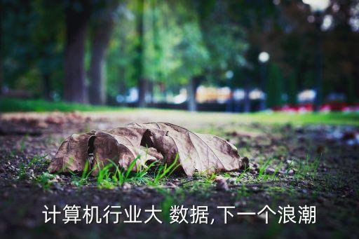 計(jì)算機(jī)行業(yè)大 數(shù)據(jù),下一個(gè)浪潮