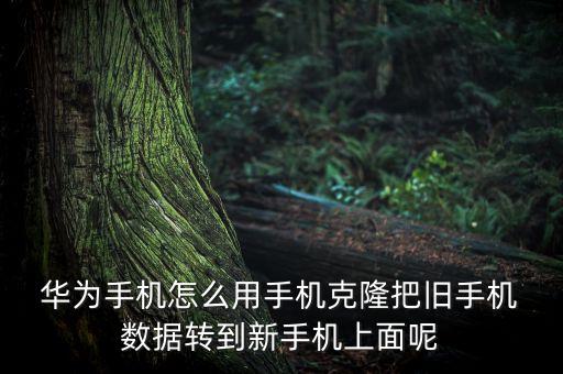  華為手機(jī)怎么用手機(jī)克隆把舊手機(jī) 數(shù)據(jù)轉(zhuǎn)到新手機(jī)上面呢