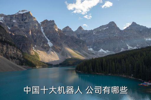 中國十大機器人 公司有哪些