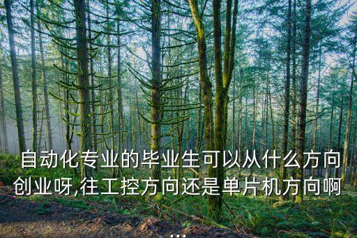  自動化專業(yè)的畢業(yè)生可以從什么方向創(chuàng)業(yè)呀,往工控方向還是單片機方向啊...