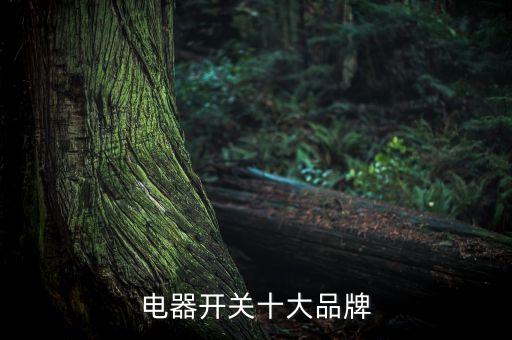 電器開(kāi)關(guān)十大品牌