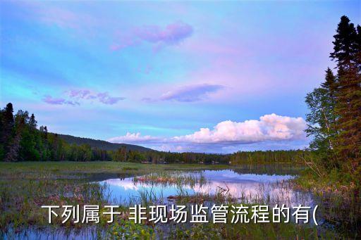下列屬于 非現(xiàn)場監(jiān)管流程的有(