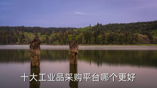 十大工業(yè)品采購(gòu)平臺(tái)哪個(gè)更好
