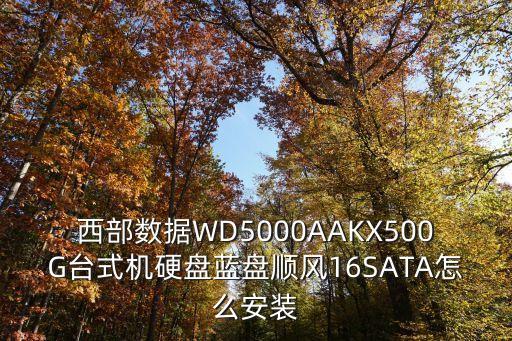 西部數(shù)據(jù)WD5000AAKX500G臺(tái)式機(jī)硬盤藍(lán)盤順風(fēng)16SATA怎么安裝