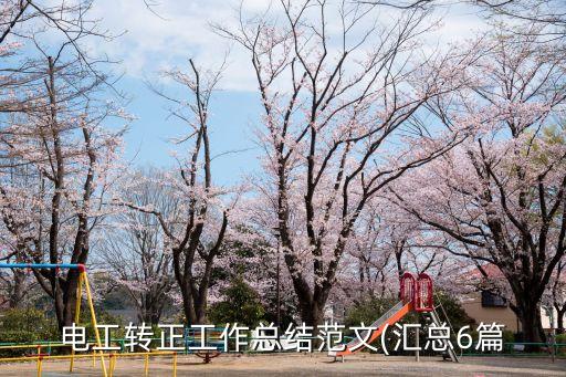 電器自動化專業(yè)見習(xí)記錄,電氣自動化專業(yè)畢業(yè)論文開題報告