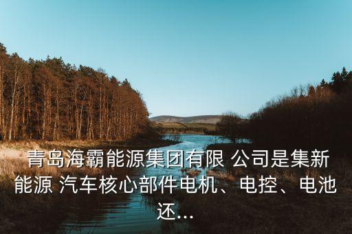  青島海霸能源集團(tuán)有限 公司是集新能源 汽車(chē)核心部件電機(jī)、電控、電池還...