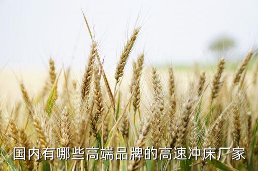 滄州自動化沖床公司有哪些,中國生產(chǎn)自動化設備公司有哪些?