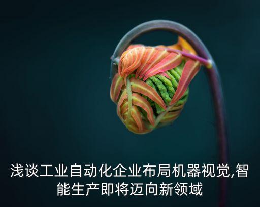 淺談工業(yè)自動化企業(yè)布局機器視覺,智能生產(chǎn)即將邁向新領(lǐng)域