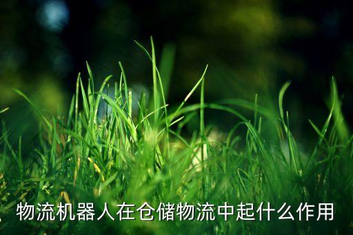 物流機(jī)器人在倉儲物流中起什么作用