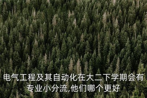 電氣工程及其自動(dòng)化在大二下學(xué)期會(huì)有專業(yè)小分流,他們哪個(gè)更好