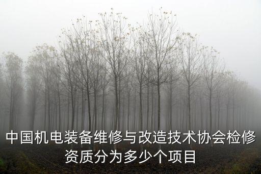 中國機(jī)電裝備維修與改造技術(shù)協(xié)會檢修資質(zhì)分為多少個(gè)項(xiàng)目