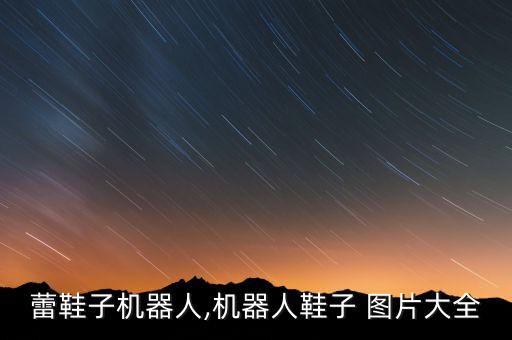徐靜蕾鞋子機(jī)器人,機(jī)器人鞋子 圖片大全