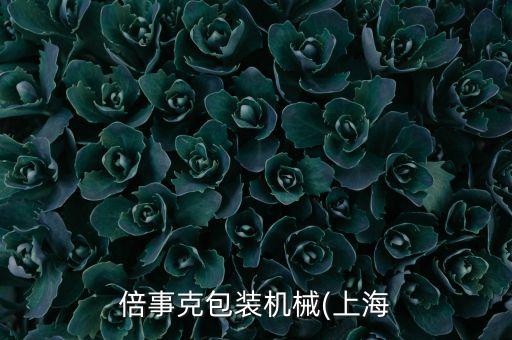 倍事克包裝機械(上海