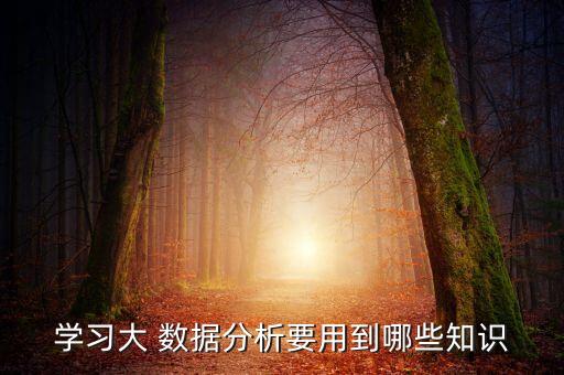 ppt大數(shù)據(jù)分析,PPT數(shù)據(jù)分析餅狀圖怎么做