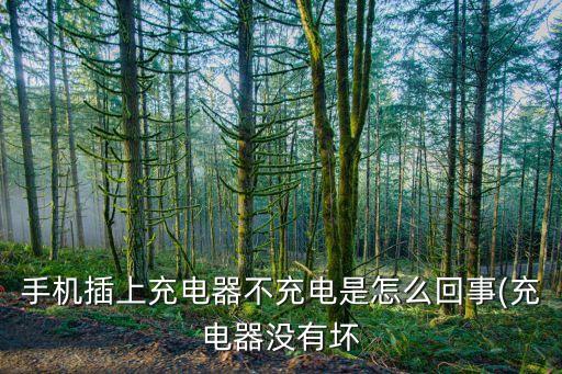 數(shù)據(jù)線沖不上電,手機數(shù)據(jù)線充不上電怎么辦?一般原因