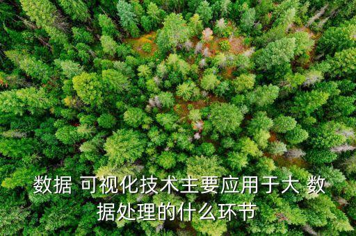  數據 可視化技術主要應用于大 數據處理的什么環(huán)節(jié)