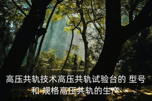 高壓共軌技術(shù)高壓共軌試驗(yàn)臺(tái)的 型號(hào)和 規(guī)格高壓共軌的生產(chǎn)