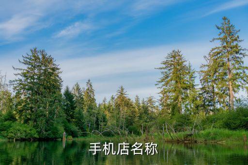 聯(lián)華電子,聯(lián)華電子在新加坡是什么規(guī)模?