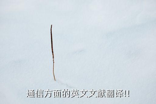 通信方面的英文文獻(xiàn)翻譯!!