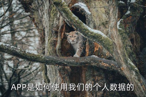 艾瑞app數(shù)據(jù)有什么用,大數(shù)據(jù)應用有什么用?