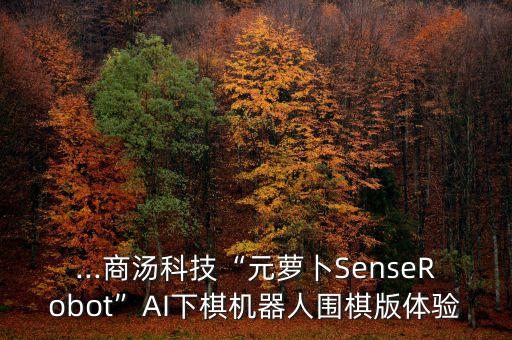 圍棋對戰(zhàn)機器人,圍棋比賽和機器人對弈主要區(qū)別是什么?