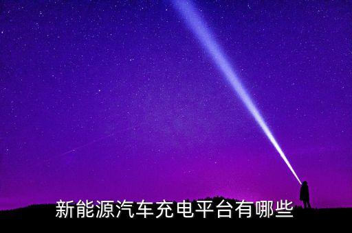 新能源汽車充電平臺(tái)有哪些
