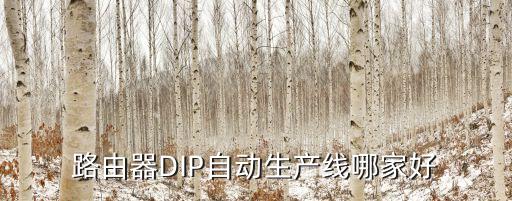 路由器DIP自動生產(chǎn)線哪家好