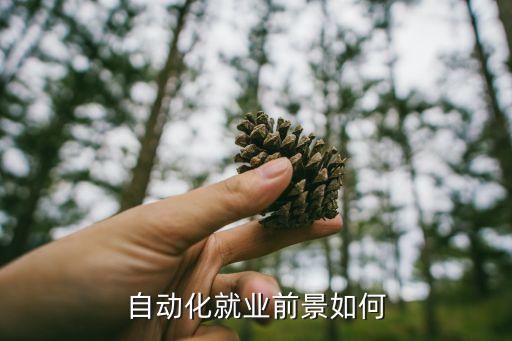 自動(dòng)化就業(yè)前景如何