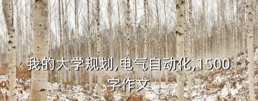我的大學(xué)規(guī)劃,電氣自動化,1500字作文