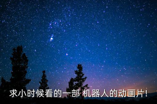 求小時候看的一部 機(jī)器人的動畫片!