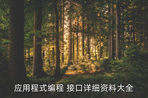 應(yīng)用程式編程 接口詳細(xì)資料大全