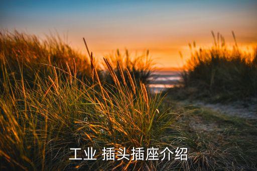 工業(yè) 插頭插座介紹