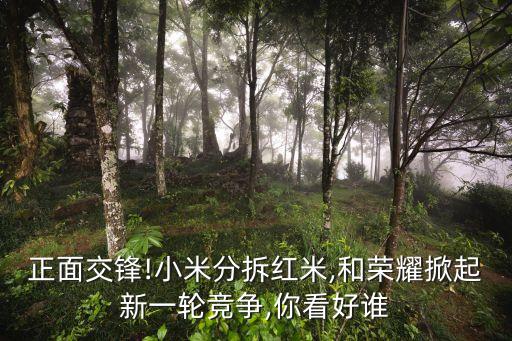 正面交鋒!小米分拆紅米,和榮耀掀起新一輪競爭,你看好誰
