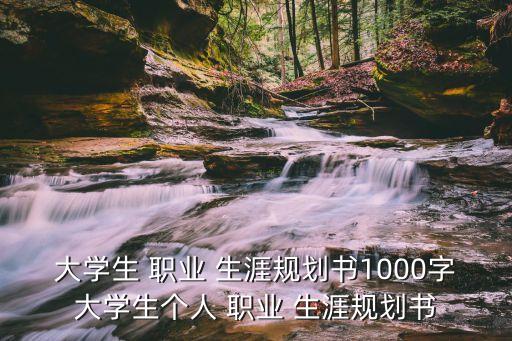 大學(xué)生 職業(yè) 生涯規(guī)劃書1000字大學(xué)生個(gè)人 職業(yè) 生涯規(guī)劃書