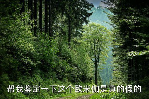 幫我鑒定一下這個(gè)歐米伽是真的假的