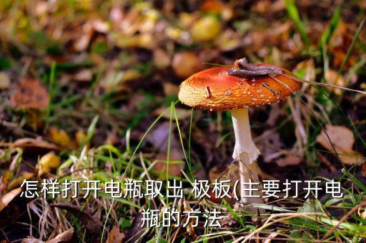 怎樣打開電瓶取出 極板(主要打開電瓶的方法