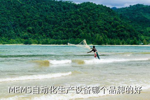 MEMS自動(dòng)化生產(chǎn)設(shè)備哪個(gè)品牌的好