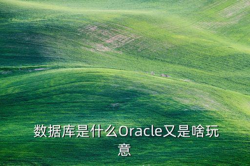  數(shù)據(jù)庫是什么Oracle又是啥玩意