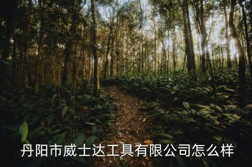  丹陽市威士達工具有限公司怎么樣