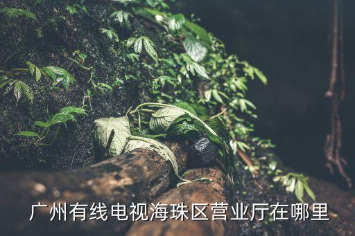  廣州有線電視海珠區(qū)營(yíng)業(yè)廳在哪里