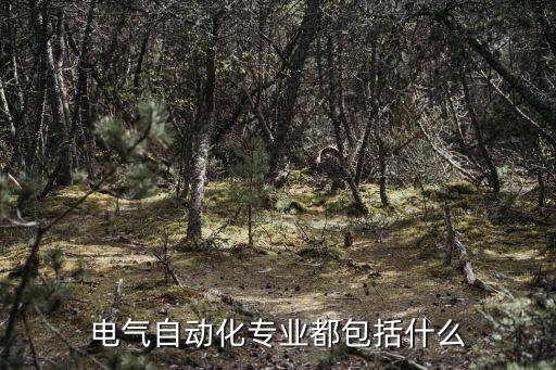 電氣自動化專業(yè)都包括什么