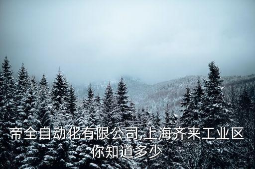 上海帝全自動化有限公司,上海齊來工業(yè)區(qū)你知道多少?