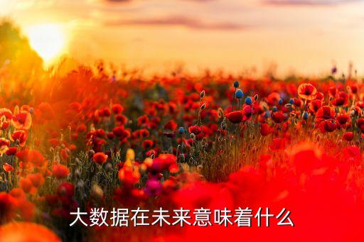 大數(shù)據(jù)在未來意味著什么