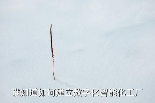 誰知道如何建立數(shù)字化智能化工廠