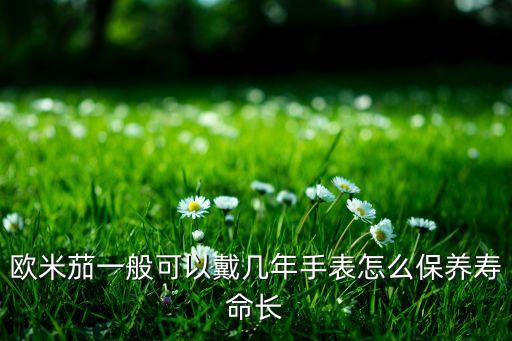 歐米茄一般可以戴幾年手表怎么保養(yǎng)壽命長(zhǎng)