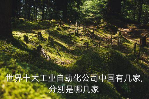 世界十大工業(yè)自動(dòng)化公司中國(guó)有幾家,分別是哪幾家