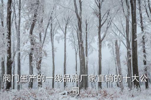 閥門生產(chǎn)的一線品牌廠家直銷的十大公司